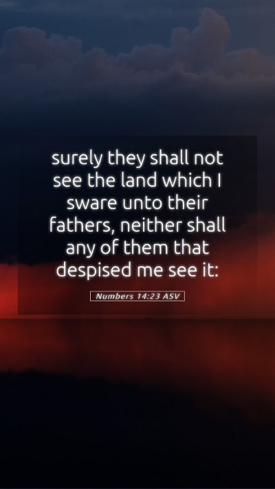 Picture 05 - Numbers 14:23 ASV Mobile Phone Wallpaper - surely they shall not see the land which I sware - Mobile Bible Verse Wallpaper