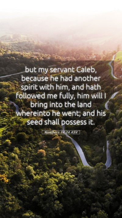 Picture 05 - Numbers 14:24 ASV Mobile Phone Wallpaper - but my servant Caleb, because he had another - Mobile Bible Verse Wallpaper