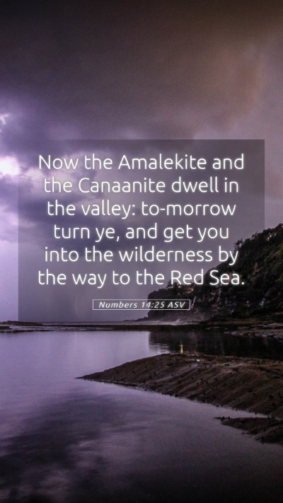 Picture 05 - Numbers 14:25 ASV Mobile Phone Wallpaper - Now the Amalekite and the Canaanite dwell in the - Mobile Bible Verse Wallpaper