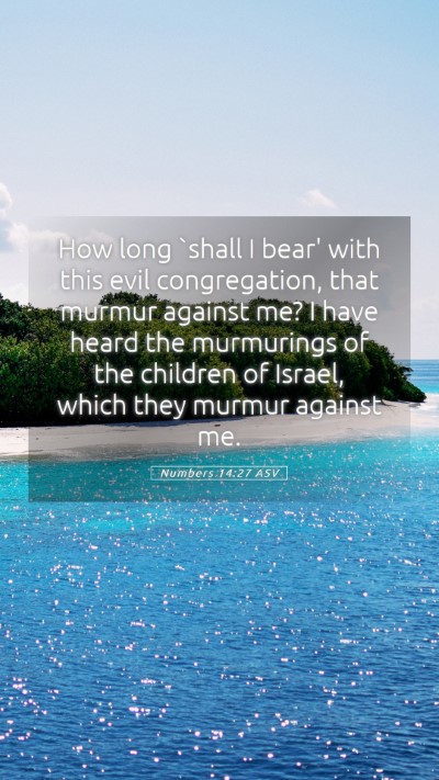 Picture 05 - Numbers 14:27 ASV Mobile Phone Wallpaper - How long `shall I bear' with this evil - Mobile Bible Verse Wallpaper