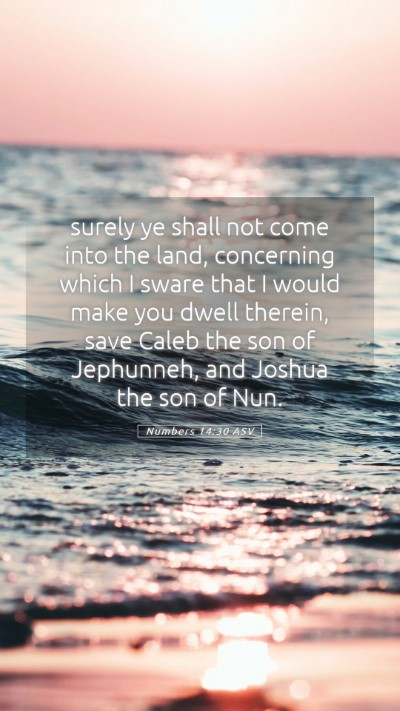 Picture 05 - Numbers 14:30 ASV Mobile Phone Wallpaper - surely ye shall not come into the land, - Mobile Bible Verse Wallpaper