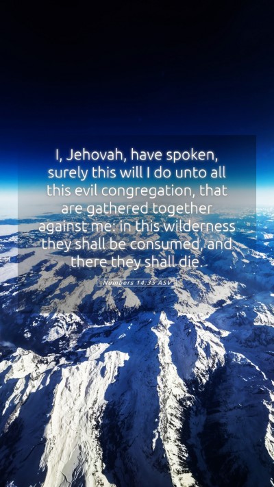 Picture 05 - Numbers 14:35 ASV Mobile Phone Wallpaper - I, Jehovah, have spoken, surely this will I do - Mobile Bible Verse Wallpaper