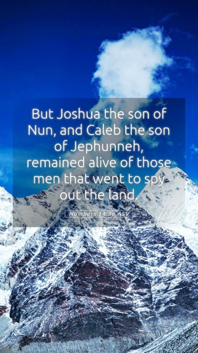Picture 05 - Numbers 14:38 ASV Mobile Phone Wallpaper - But Joshua the son of Nun, and Caleb the son of - Mobile Bible Verse Wallpaper