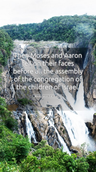 Picture 05 - Numbers 14:5 ASV Mobile Phone Wallpaper - Then Moses and Aaron fell on their faces before - Mobile Bible Verse Wallpaper