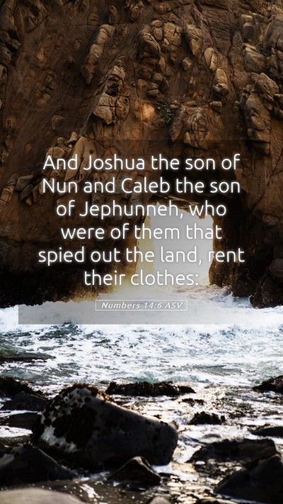 Picture 05 - Numbers 14:6 ASV Mobile Phone Wallpaper - And Joshua the son of Nun and Caleb the son of - Mobile Bible Verse Wallpaper