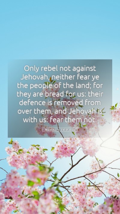 Picture 05 - Numbers 14:9 ASV Mobile Phone Wallpaper - Only rebel not against Jehovah, neither fear ye - Mobile Bible Verse Wallpaper