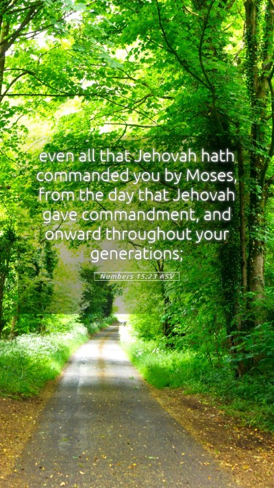 Picture 05 - Numbers 15:23 ASV Mobile Phone Wallpaper - even all that Jehovah hath commanded you by - Mobile Bible Verse Wallpaper