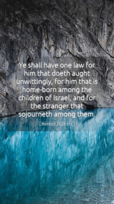 Picture 05 - Numbers 15:29 ASV Mobile Phone Wallpaper - Ye shall have one law for him that doeth aught - Mobile Bible Verse Wallpaper