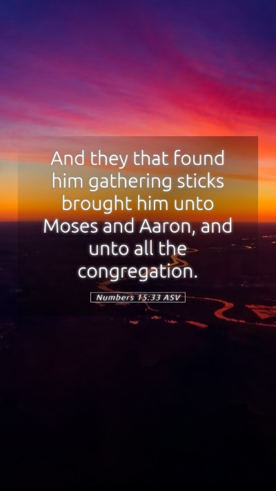 Picture 05 - Numbers 15:33 ASV Mobile Phone Wallpaper - And they that found him gathering sticks brought - Mobile Bible Verse Wallpaper
