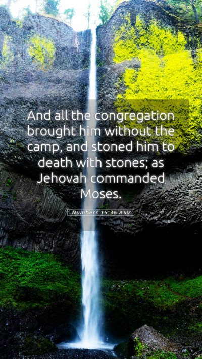 Picture 05 - Numbers 15:36 ASV Mobile Phone Wallpaper - And all the congregation brought him without the - Mobile Bible Verse Wallpaper