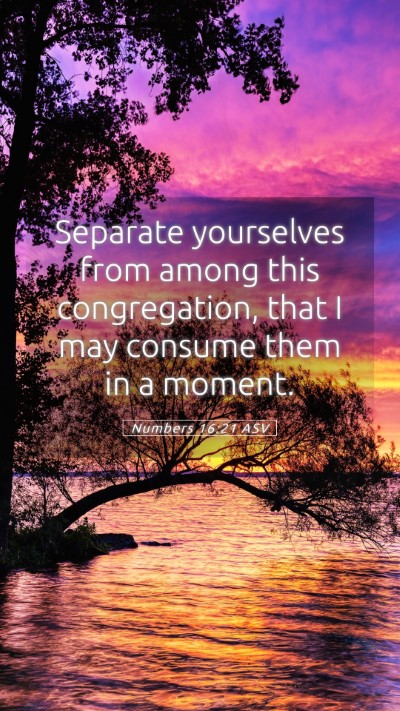 Picture 05 - Numbers 16:21 ASV Mobile Phone Wallpaper - Separate yourselves from among this congregation, - Mobile Bible Verse Wallpaper