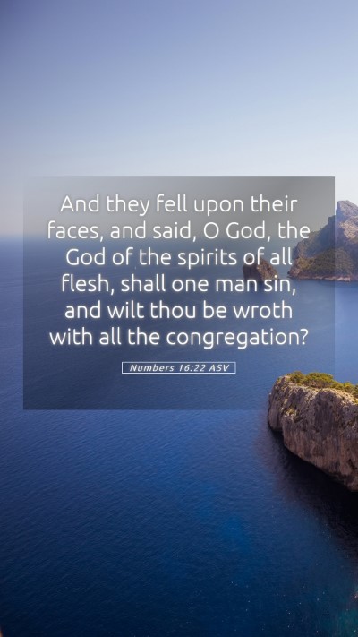 Picture 05 - Numbers 16:22 ASV Mobile Phone Wallpaper - And they fell upon their faces, and said, O God, - Mobile Bible Verse Wallpaper