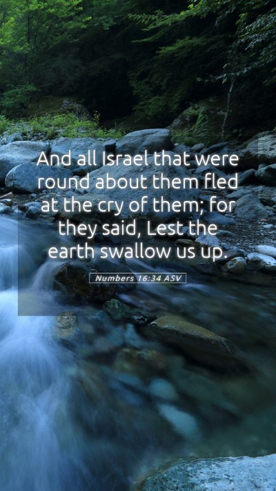 Picture 05 - Numbers 16:34 ASV Mobile Phone Wallpaper - And all Israel that were round about them fled at - Mobile Bible Verse Wallpaper