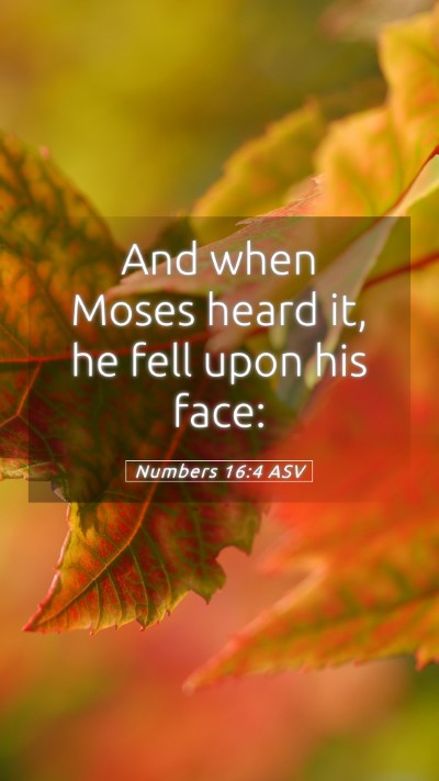 Picture 05 - Numbers 16:4 ASV Mobile Phone Wallpaper - And when Moses heard it, he fell upon his - Mobile Bible Verse Wallpaper