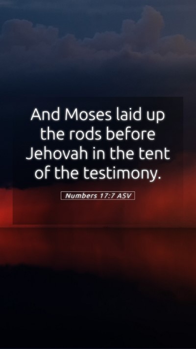 Picture 05 - Numbers 17:7 ASV Mobile Phone Wallpaper - And Moses laid up the rods before Jehovah in the - Mobile Bible Verse Wallpaper