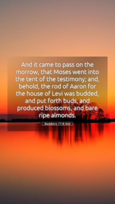 Picture 05 - Numbers 17:8 ASV Mobile Phone Wallpaper - And it came to pass on the morrow, that Moses - Mobile Bible Verse Wallpaper
