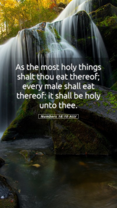 Picture 05 - Numbers 18:10 ASV Mobile Phone Wallpaper - As the most holy things shalt thou eat thereof; - Mobile Bible Verse Wallpaper