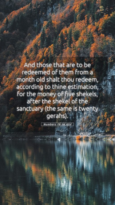 Picture 05 - Numbers 18:16 ASV Mobile Phone Wallpaper - And those that are to be redeemed of them from a - Mobile Bible Verse Wallpaper