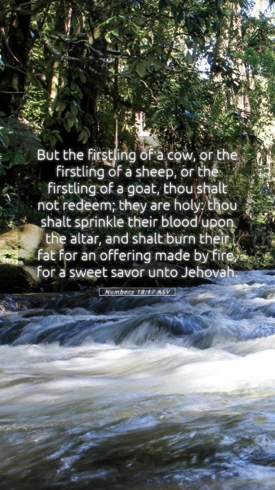 Picture 05 - Numbers 18:17 ASV Mobile Phone Wallpaper - But the firstling of a cow, or the firstling of a - Mobile Bible Verse Wallpaper