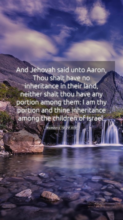 Picture 05 - Numbers 18:20 ASV Mobile Phone Wallpaper - And Jehovah said unto Aaron, Thou shalt have no - Mobile Bible Verse Wallpaper