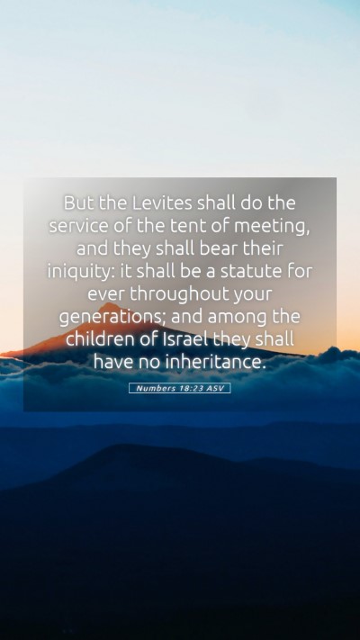Picture 05 - Numbers 18:23 ASV Mobile Phone Wallpaper - But the Levites shall do the service of the tent - Mobile Bible Verse Wallpaper