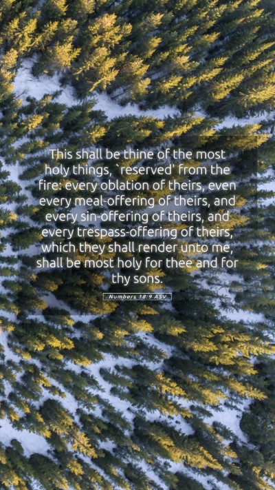 Picture 05 - Numbers 18:9 ASV Mobile Phone Wallpaper - This shall be thine of the most holy things, - Mobile Bible Verse Wallpaper