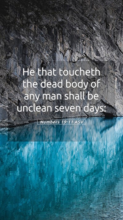 Picture 05 - Numbers 19:11 ASV Mobile Phone Wallpaper - He that toucheth the dead body of any man shall - Mobile Bible Verse Wallpaper
