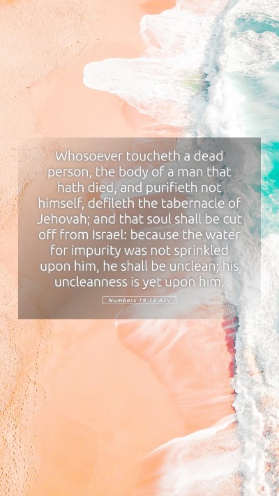 Picture 05 - Numbers 19:13 ASV Mobile Phone Wallpaper - Whosoever toucheth a dead person, the body of a - Mobile Bible Verse Wallpaper