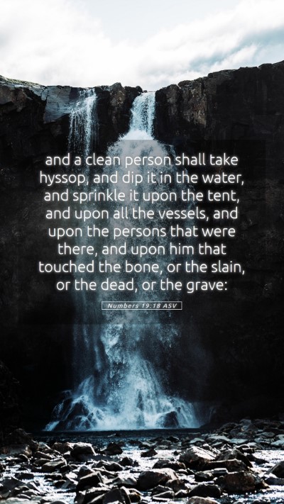 Picture 05 - Numbers 19:18 ASV Mobile Phone Wallpaper - and a clean person shall take hyssop, and dip it - Mobile Bible Verse Wallpaper