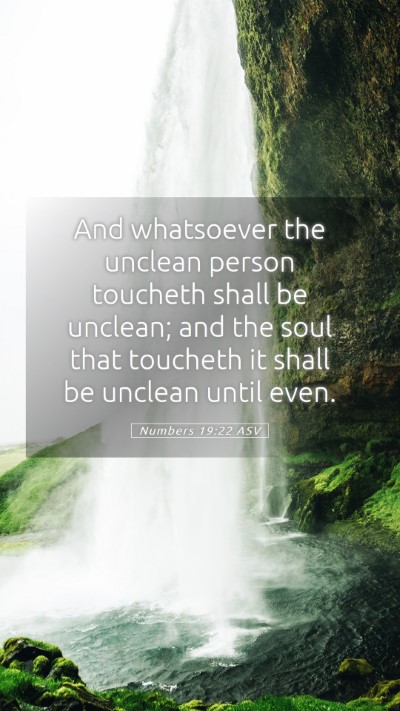 Picture 05 - Numbers 19:22 ASV Mobile Phone Wallpaper - And whatsoever the unclean person toucheth shall - Mobile Bible Verse Wallpaper