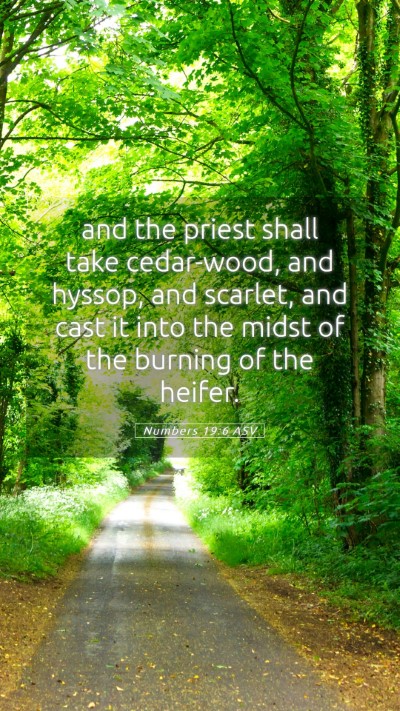 Picture 05 - Numbers 19:6 ASV Mobile Phone Wallpaper - and the priest shall take cedar-wood, and hyssop, - Mobile Bible Verse Wallpaper