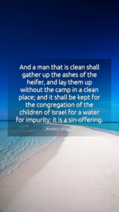 Picture 05 - Numbers 19:9 ASV Mobile Phone Wallpaper - And a man that is clean shall gather up the ashes - Mobile Bible Verse Wallpaper