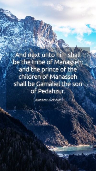 Picture 05 - Numbers 2:20 ASV Mobile Phone Wallpaper - And next unto him shall be the tribe of Manasseh: - Mobile Bible Verse Wallpaper