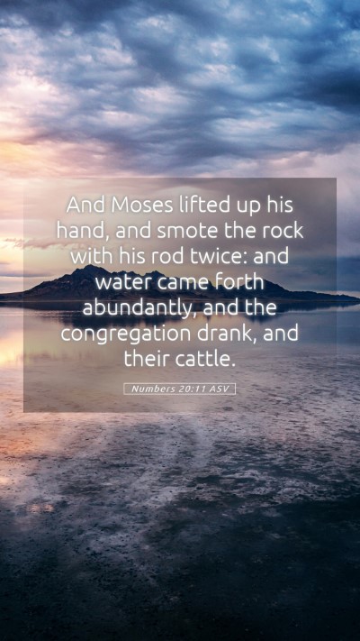 Picture 05 - Numbers 20:11 ASV Mobile Phone Wallpaper - And Moses lifted up his hand, and smote the rock - Mobile Bible Verse Wallpaper