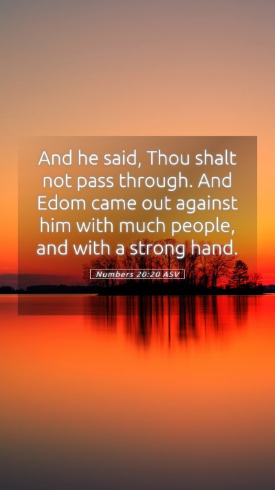 Picture 05 - Numbers 20:20 ASV Mobile Phone Wallpaper - And he said, Thou shalt not pass through. And - Mobile Bible Verse Wallpaper