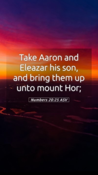 Picture 05 - Numbers 20:25 ASV Mobile Phone Wallpaper - Take Aaron and Eleazar his son, and bring them up - Mobile Bible Verse Wallpaper