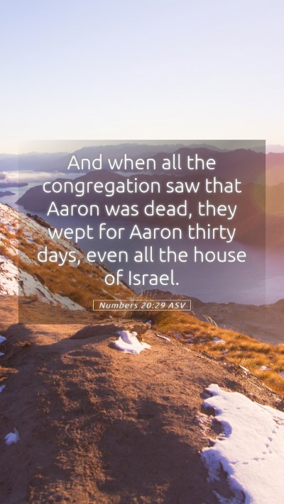 Picture 05 - Numbers 20:29 ASV Mobile Phone Wallpaper - And when all the congregation saw that Aaron was - Mobile Bible Verse Wallpaper
