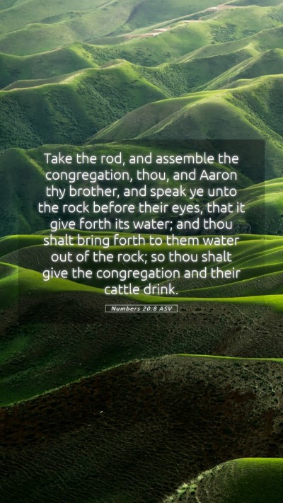 Picture 05 - Numbers 20:8 ASV Mobile Phone Wallpaper - Take the rod, and assemble the congregation, - Mobile Bible Verse Wallpaper