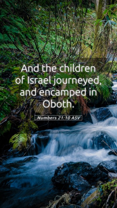 Picture 05 - Numbers 21:10 ASV Mobile Phone Wallpaper - And the children of Israel journeyed, and - Mobile Bible Verse Wallpaper