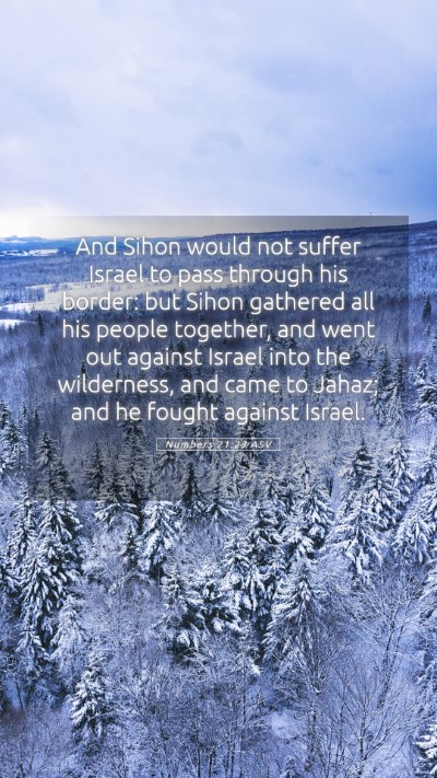 Picture 05 - Numbers 21:23 ASV Mobile Phone Wallpaper - And Sihon would not suffer Israel to pass through - Mobile Bible Verse Wallpaper