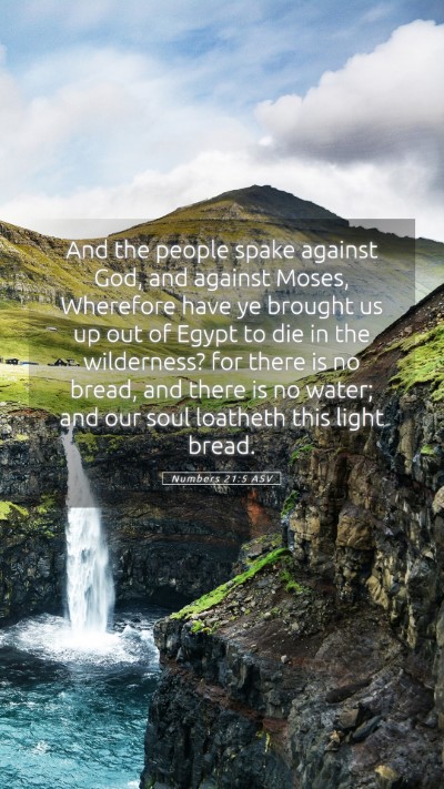 Picture 05 - Numbers 21:5 ASV Mobile Phone Wallpaper - And the people spake against God, and against - Mobile Bible Verse Wallpaper
