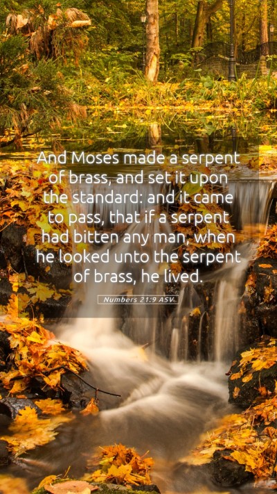 Picture 05 - Numbers 21:9 ASV Mobile Phone Wallpaper - And Moses made a serpent of brass, and set it - Mobile Bible Verse Wallpaper
