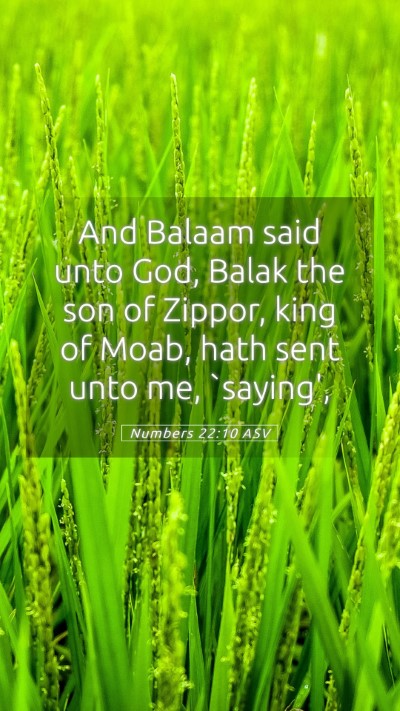 Picture 05 - Numbers 22:10 ASV Mobile Phone Wallpaper - And Balaam said unto God, Balak the son of - Mobile Bible Verse Wallpaper