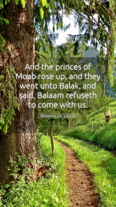 Picture 05 - Numbers 22:14 ASV Mobile Phone Wallpaper - And the princes of Moab rose up, and they went - Mobile Bible Verse Wallpaper