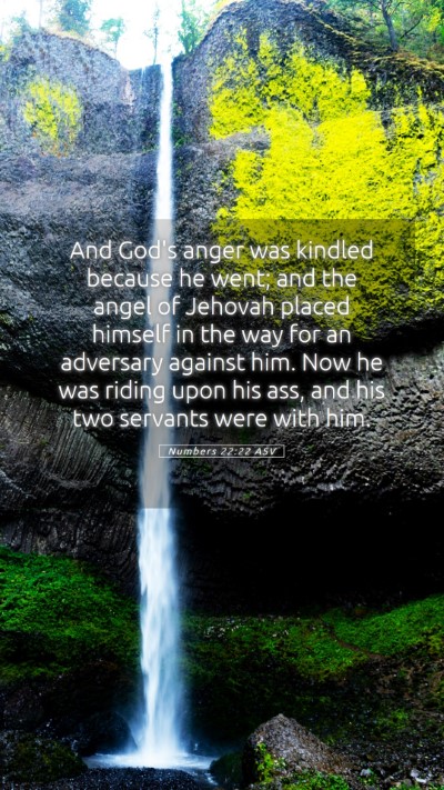 Picture 05 - Numbers 22:22 ASV Mobile Phone Wallpaper - And God's anger was kindled because he went; and - Mobile Bible Verse Wallpaper