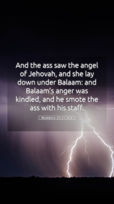 Picture 05 - Numbers 22:27 ASV Mobile Phone Wallpaper - And the ass saw the angel of Jehovah, and she lay - Mobile Bible Verse Wallpaper