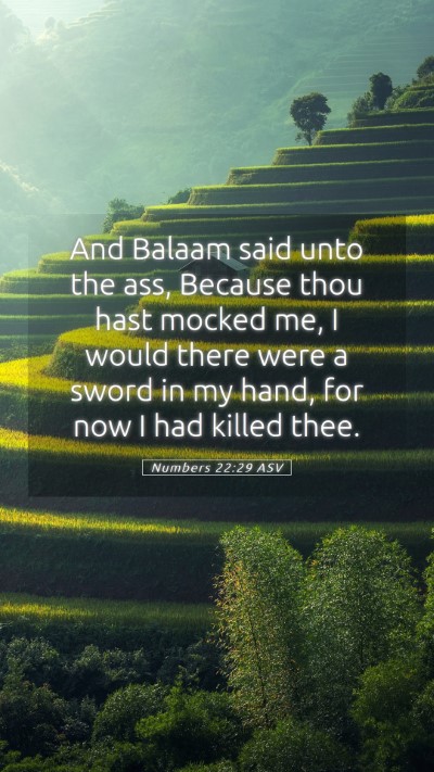 Picture 05 - Numbers 22:29 ASV Mobile Phone Wallpaper - And Balaam said unto the ass, Because thou hast - Mobile Bible Verse Wallpaper