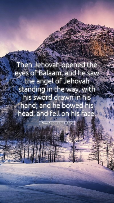 Picture 05 - Numbers 22:31 ASV Mobile Phone Wallpaper - Then Jehovah opened the eyes of Balaam, and he - Mobile Bible Verse Wallpaper