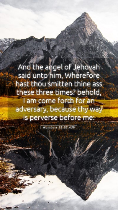Picture 05 - Numbers 22:32 ASV Mobile Phone Wallpaper - And the angel of Jehovah said unto him, Wherefore - Mobile Bible Verse Wallpaper
