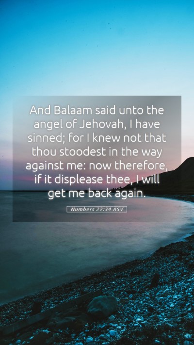 Picture 05 - Numbers 22:34 ASV Mobile Phone Wallpaper - And Balaam said unto the angel of Jehovah, I have - Mobile Bible Verse Wallpaper